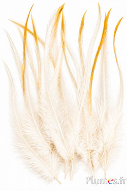 Gallo Leon - 20-25 cm - crema naturale